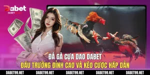 Đá Gà Cựa Dao DABET: Đấu Trường Đỉnh Cao Và Kèo Cược Hấp Dẫn