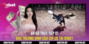 Đá Gà Trực Tiếp C1: Đấu Trường Đỉnh Cao Chỉ Có Tại DABET