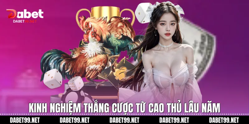 Kinh nghiệm thắng cược từ cao thủ lâu năm