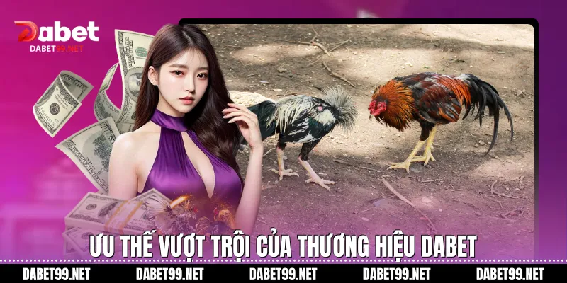 Ưu thế vượt trội của thương hiệu DABET